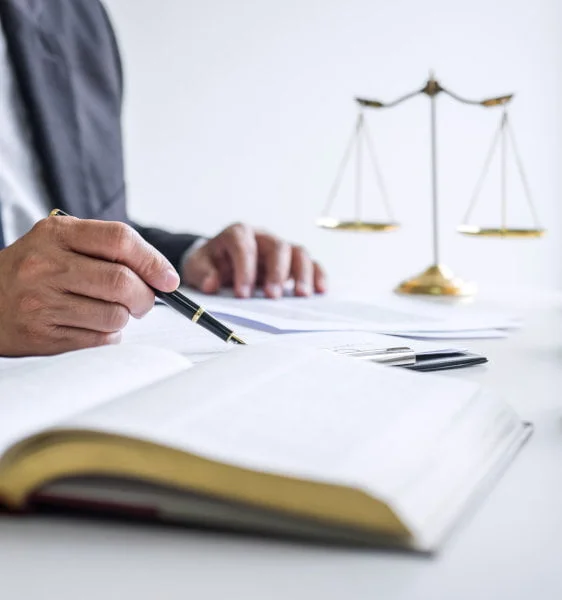 business litigation